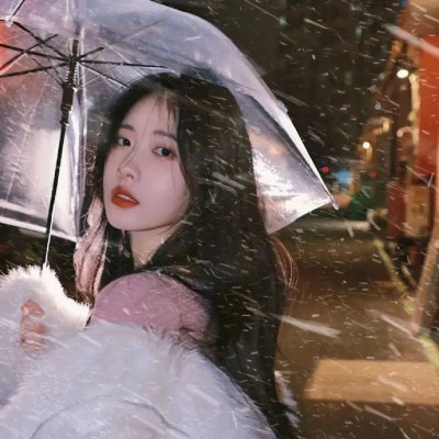 摄影师贝尔蒂与海豚零距离